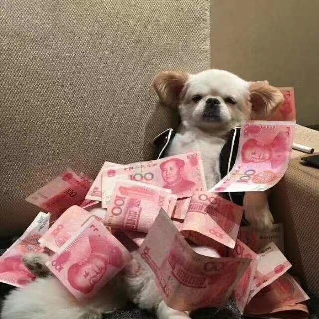 你的后盾.