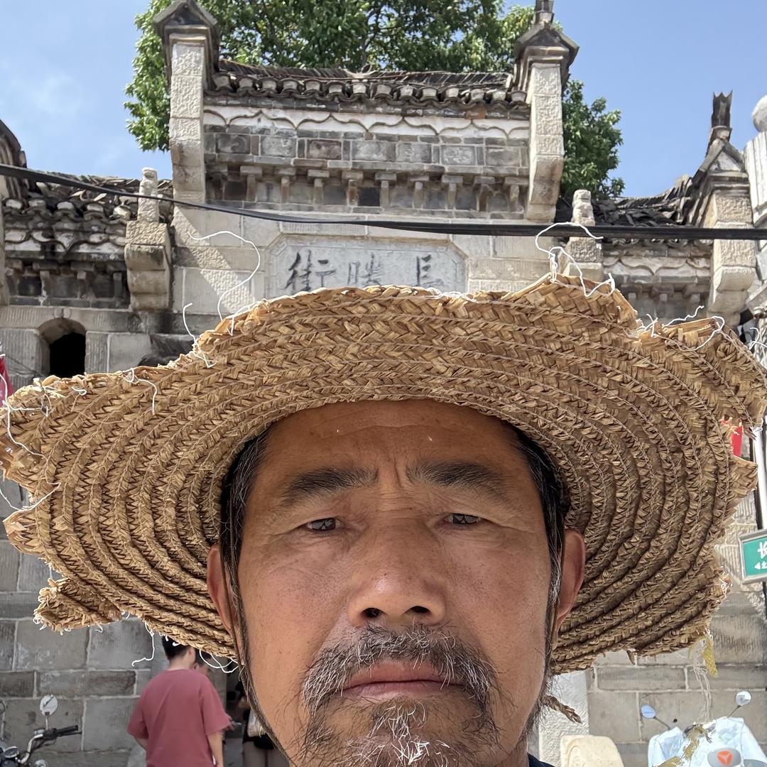 天天  农副   （下午4点20分开播