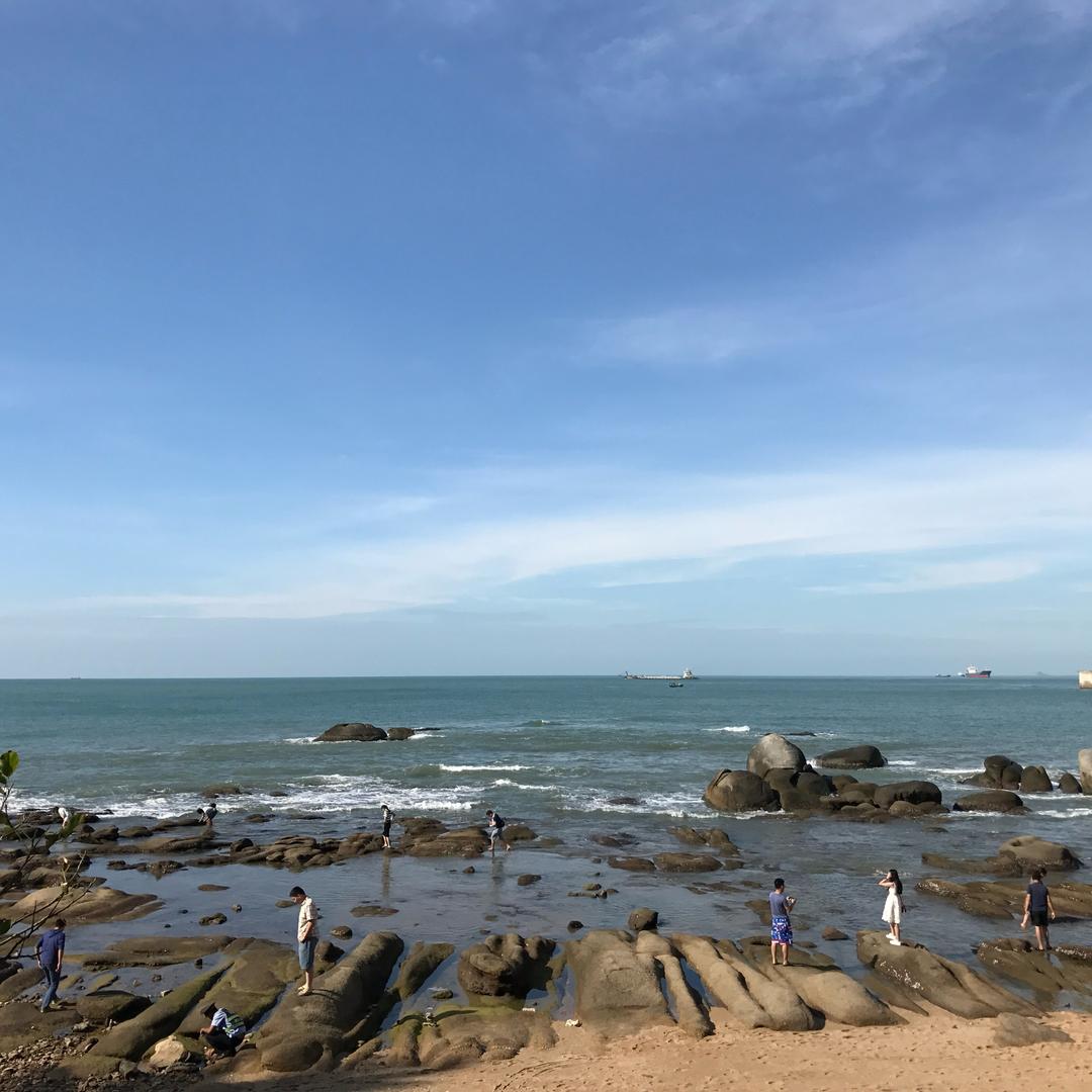追风逐梦