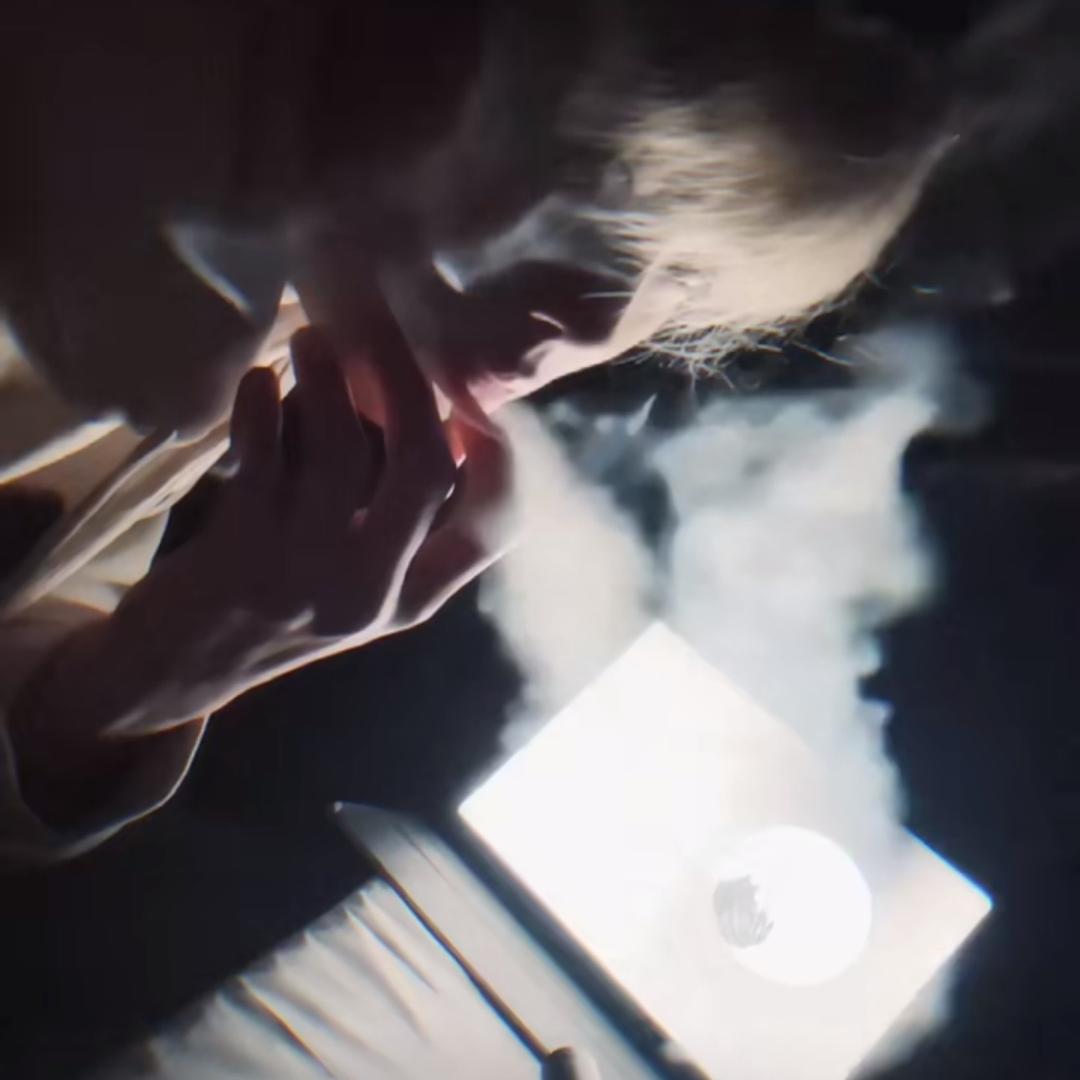 深情的三文鱼