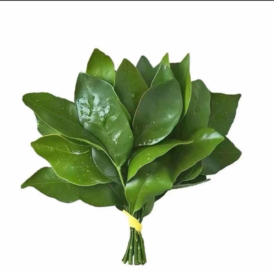 是我