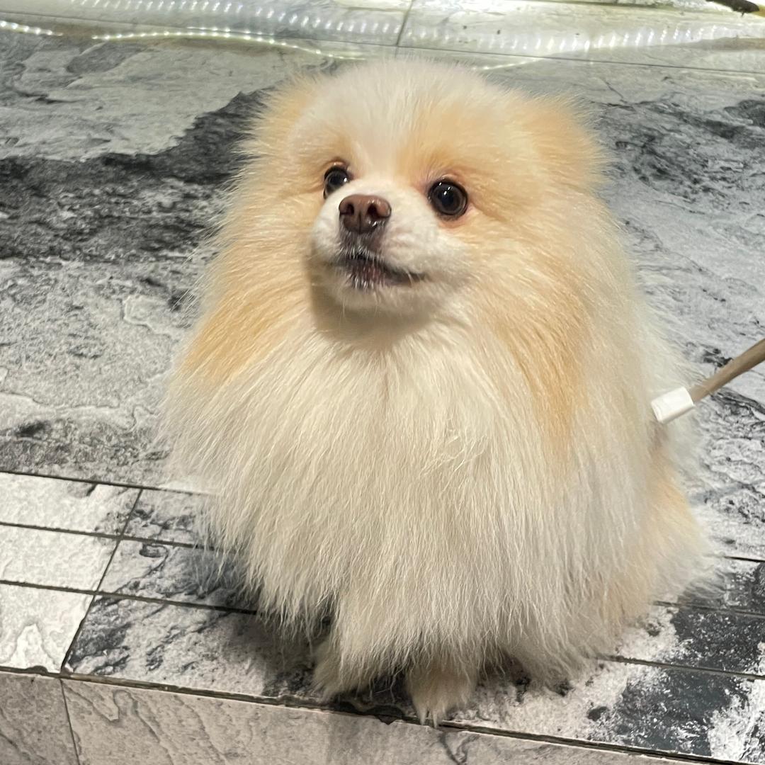 晓晓..