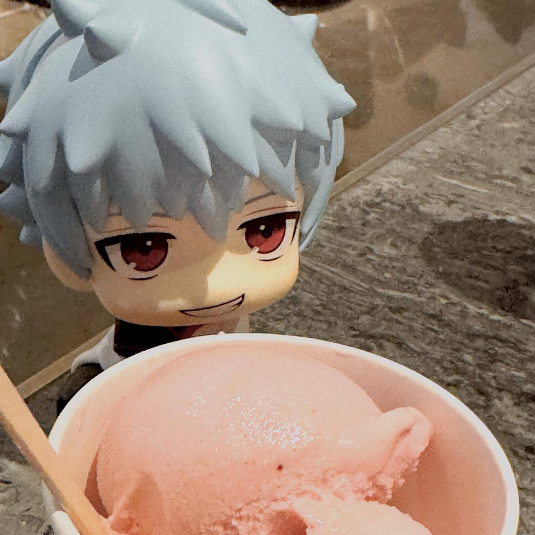 甜食控银毛夜叉