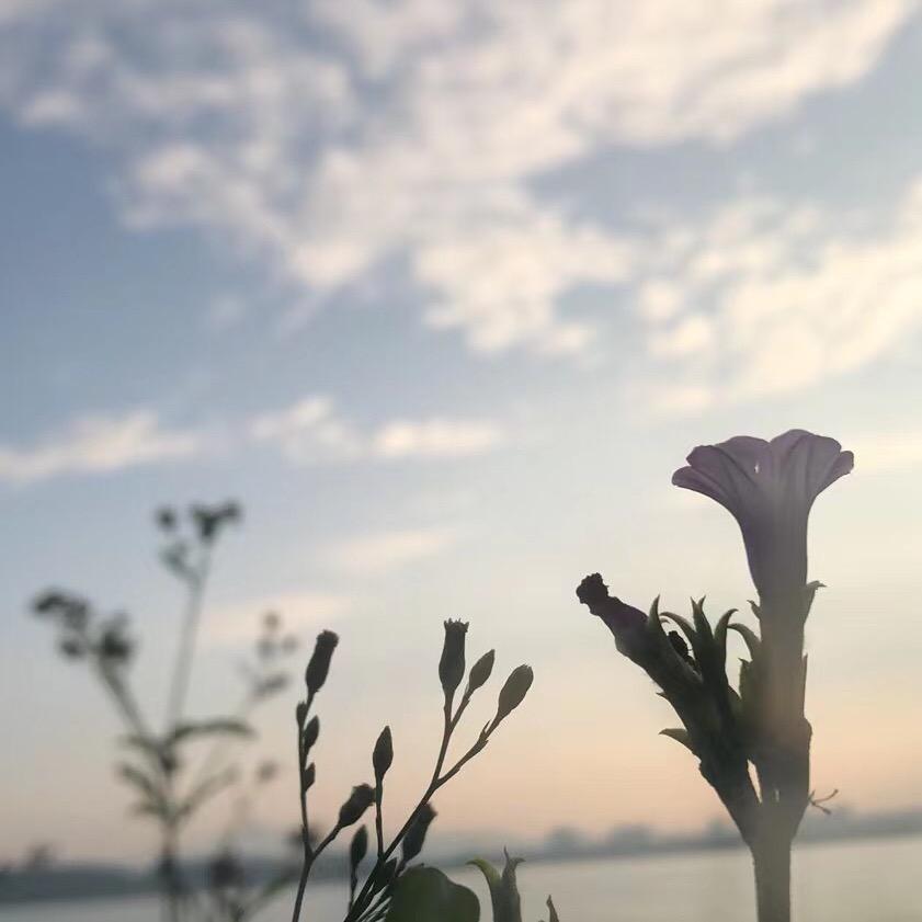《知音》