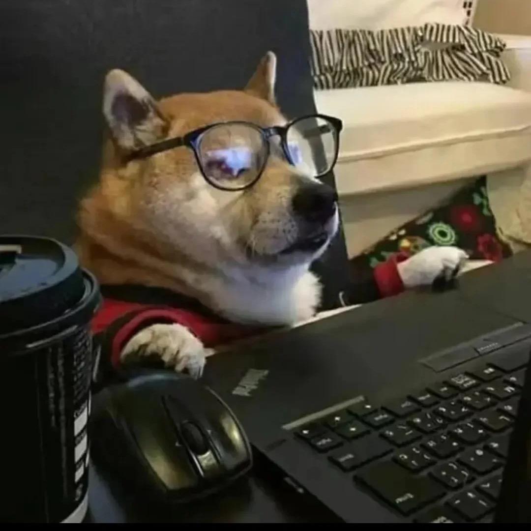 啊巴啊吧啊吧吧吧吧