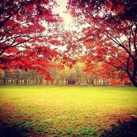 6566🔥🔥 ⁹³¹