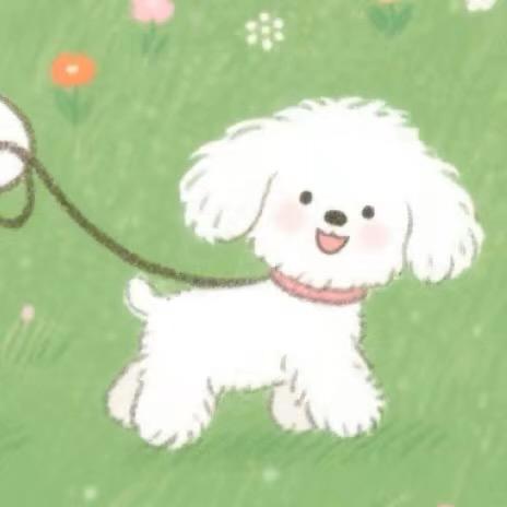 小赵永远不怕找