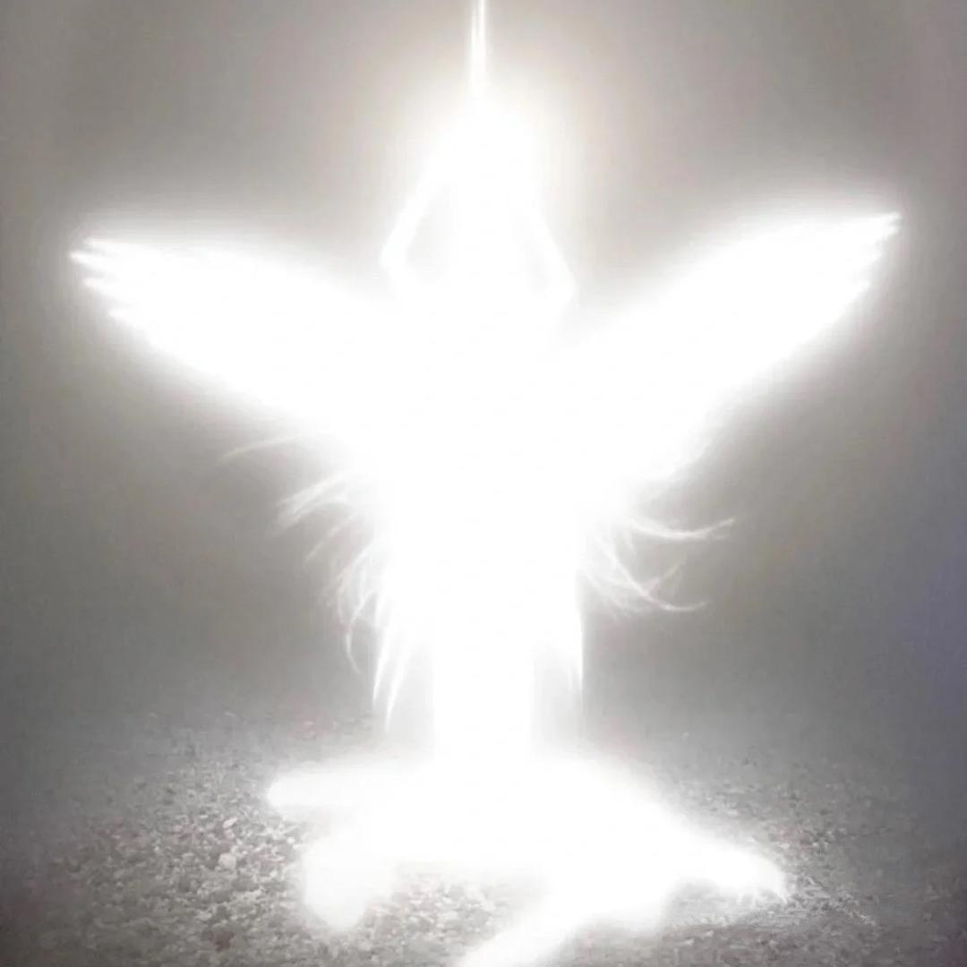 婚礼策划师佳佳JIA