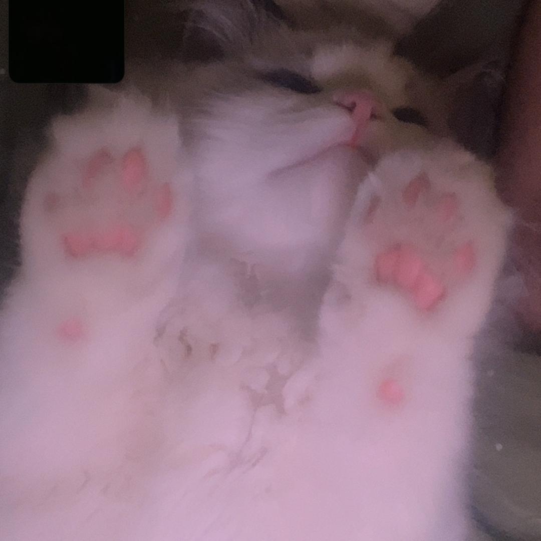 可口可乐好喝的钙蓝瓶的钙