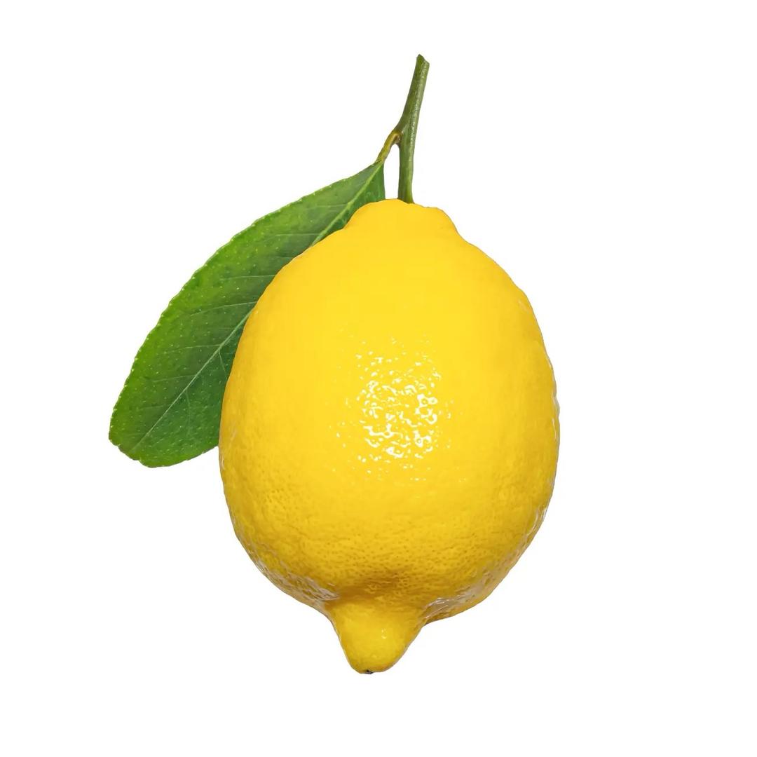 ⁺ʚ՞•ᴥ•՞ɞ⁺