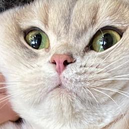 4a企划部（备用号）