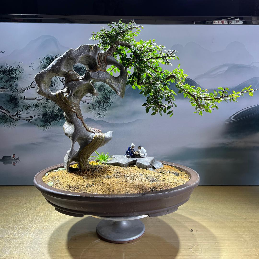 一石二景附石盆景