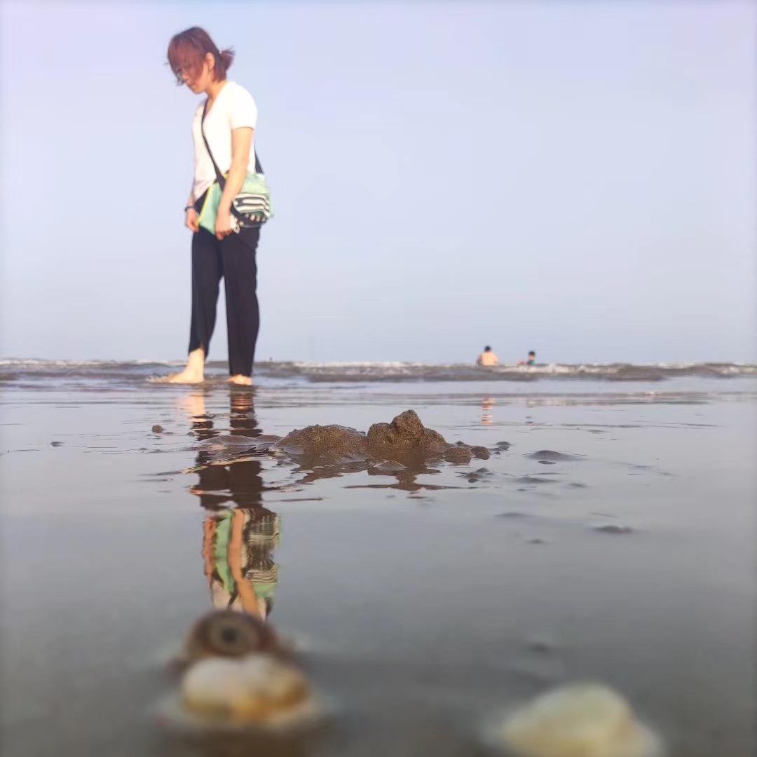 杨小萌