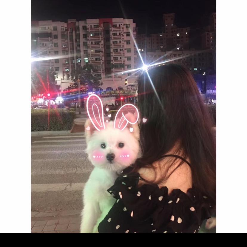 思姨很凶