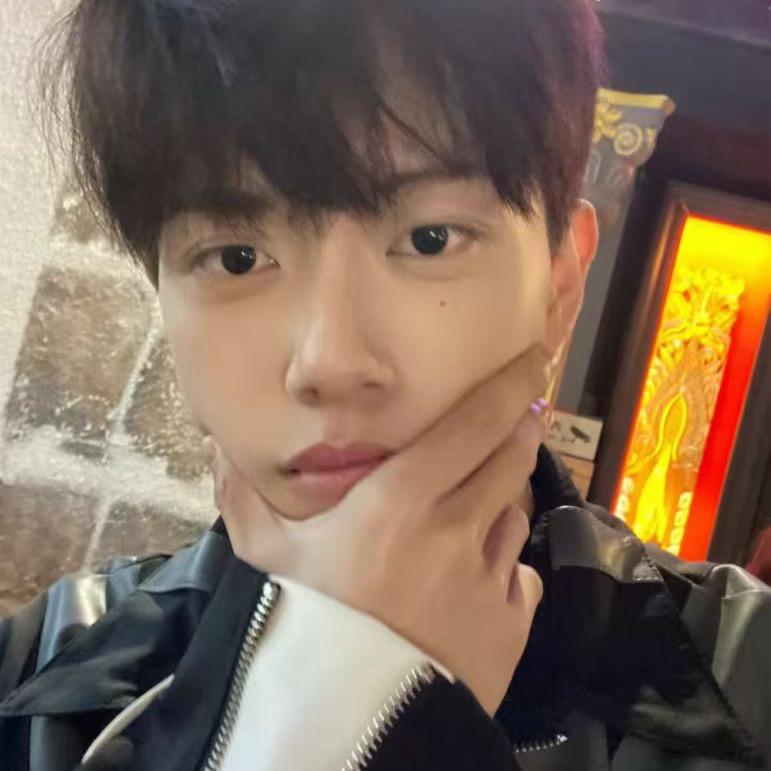 龙淡（和平精英）