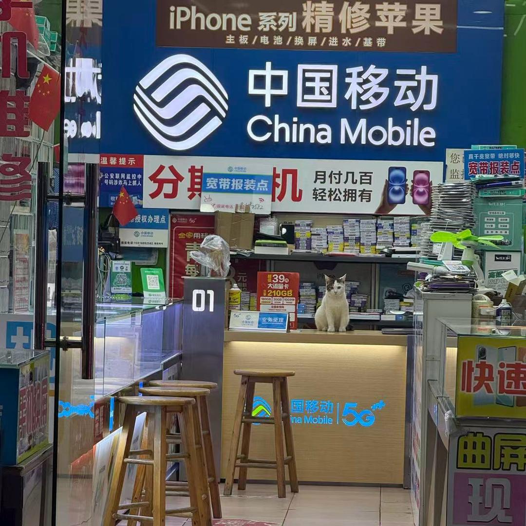 广东东莞 高平数码 一站式手机服务中心