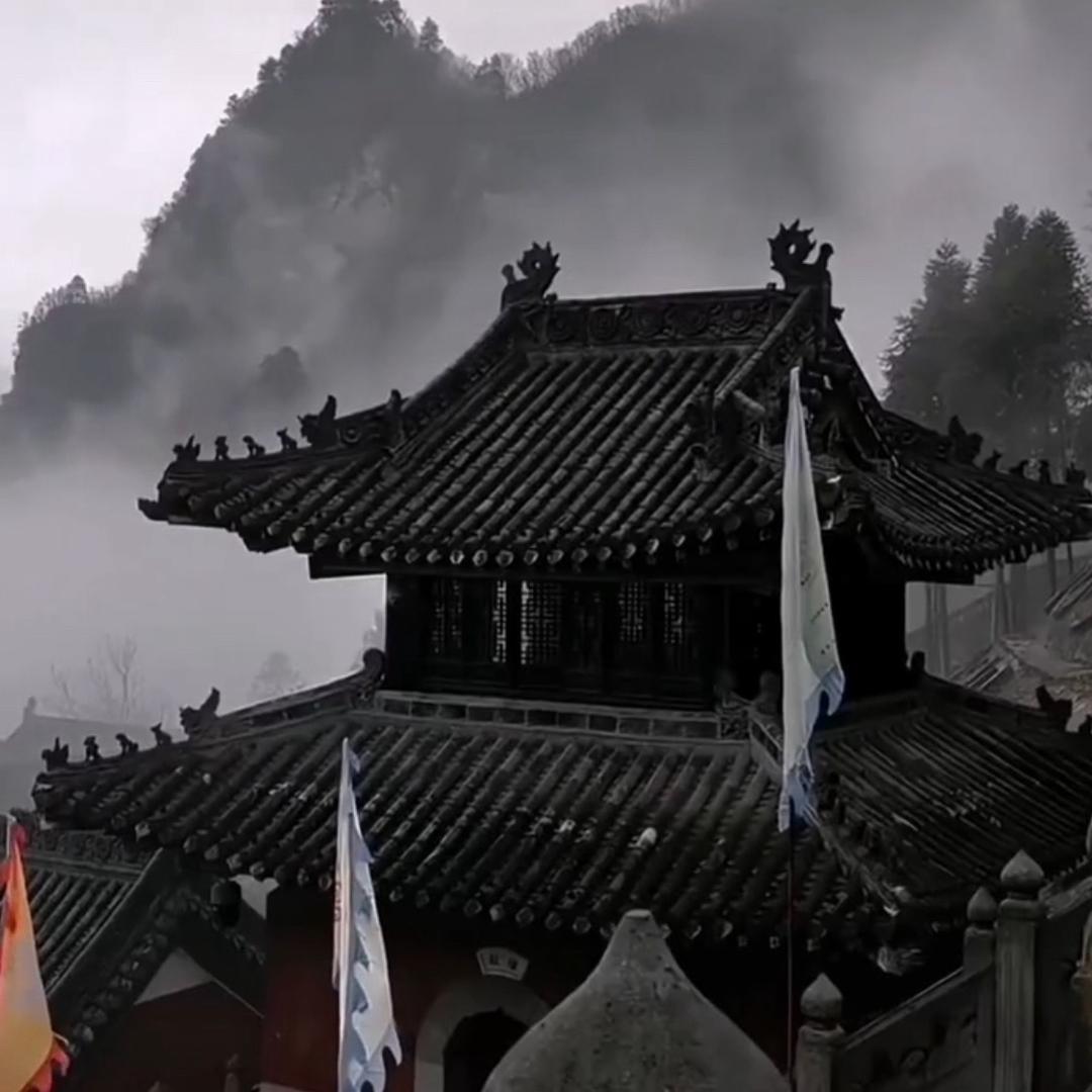 妙玄—山花领取处