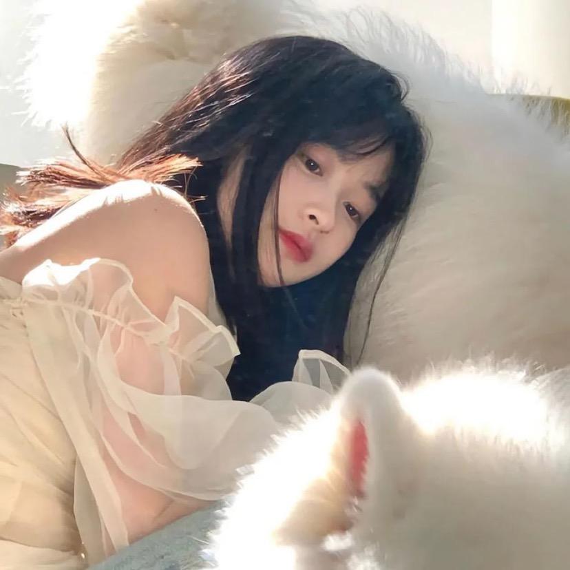 桥本环奈