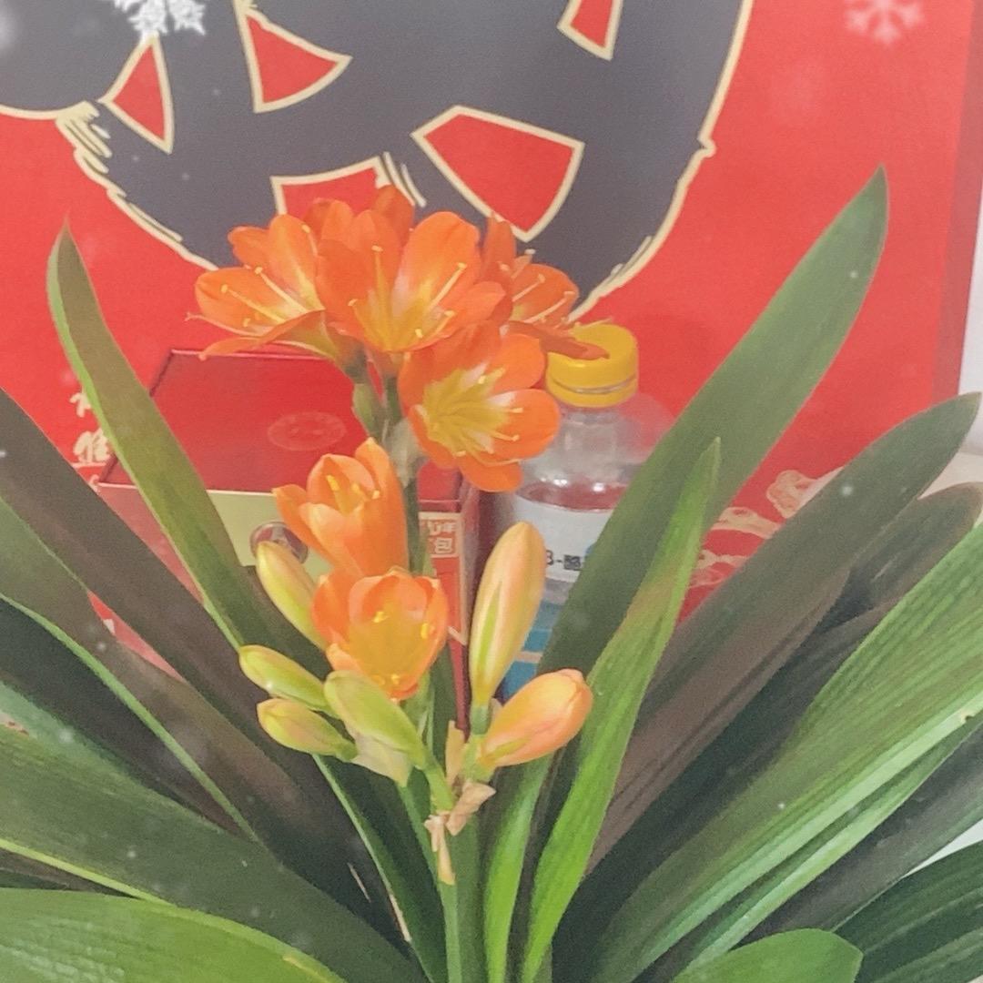 爱唱歌的张老头🎤🎶