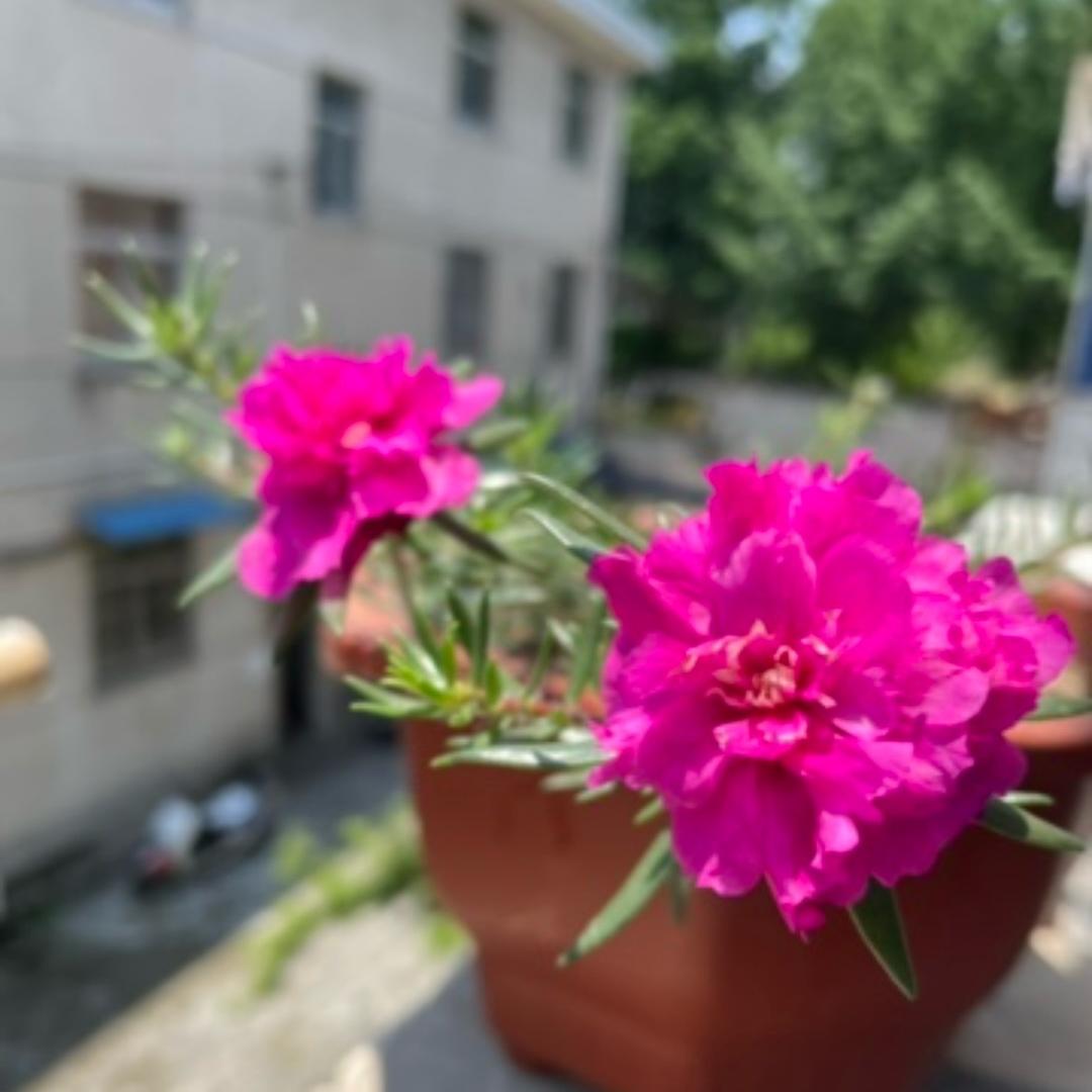 💖想伱ろ⒍ㄘ天