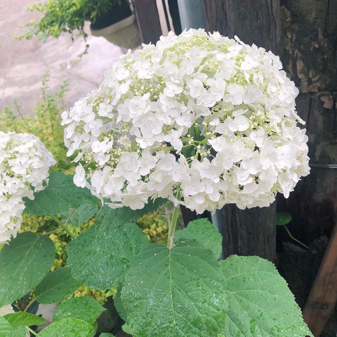 汤汤好物分享