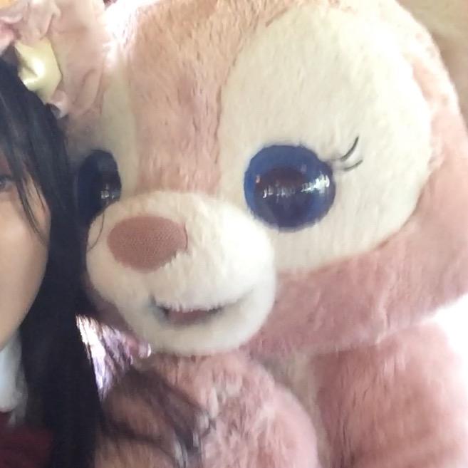 躺赢兔🐰