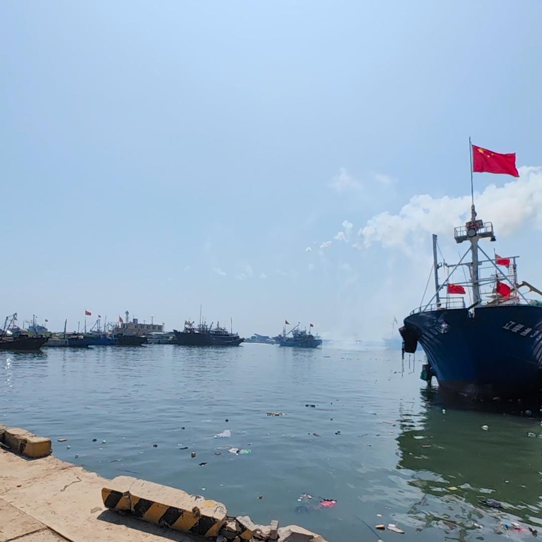 海鲜🦞源头加工厂