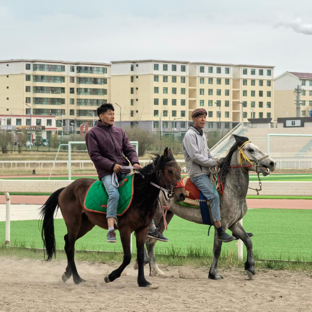 🐎老东