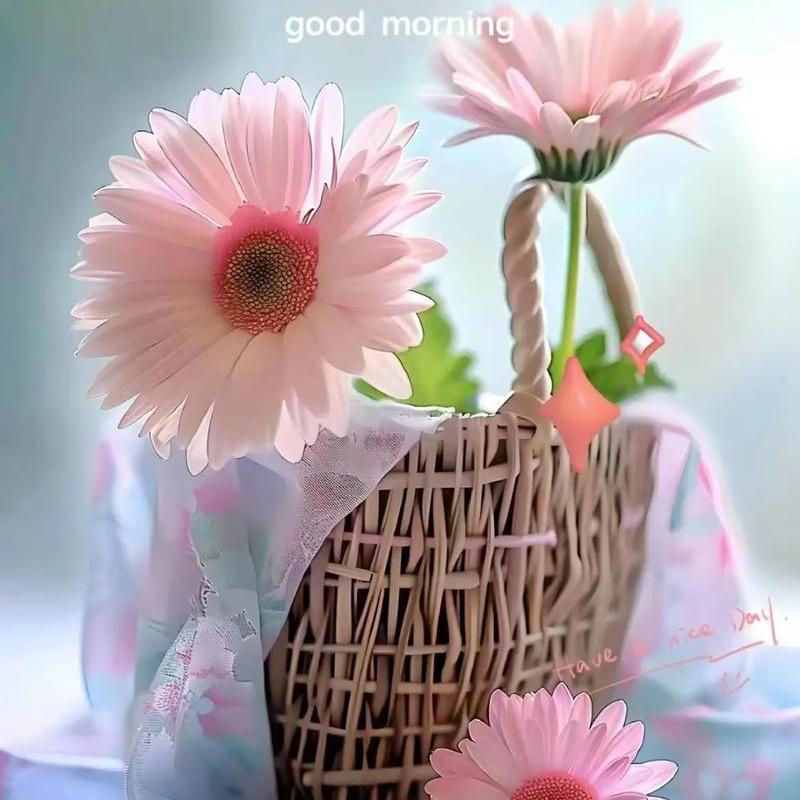 @梅姐私房水饺馄饨