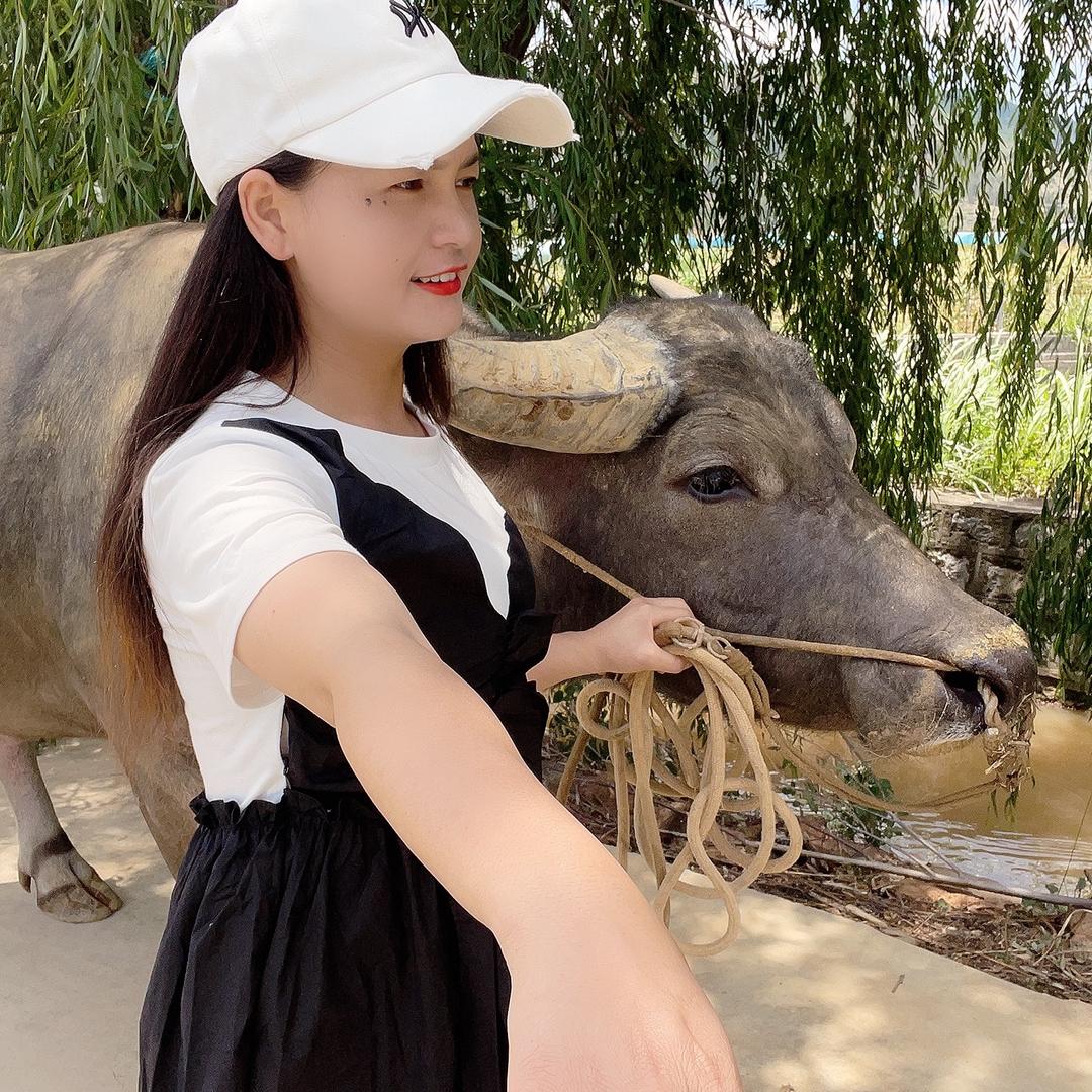 云南梅姐
