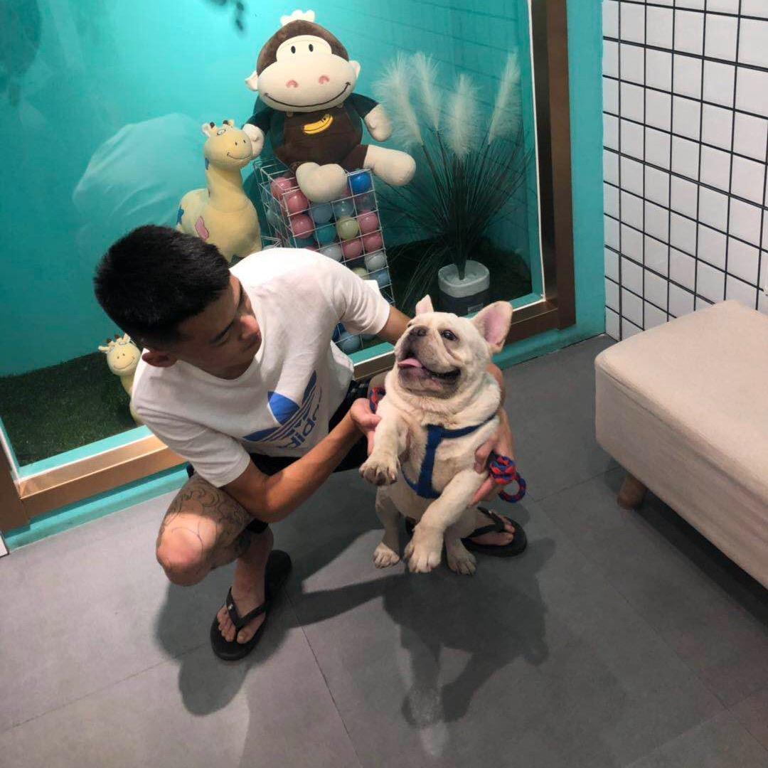 W、🐯