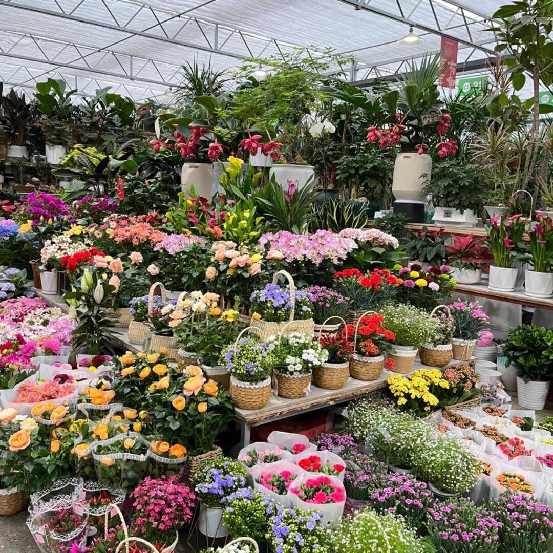萓家花园