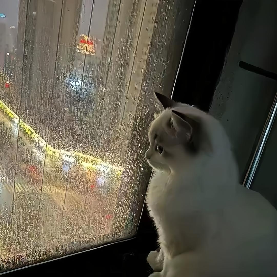 小牧