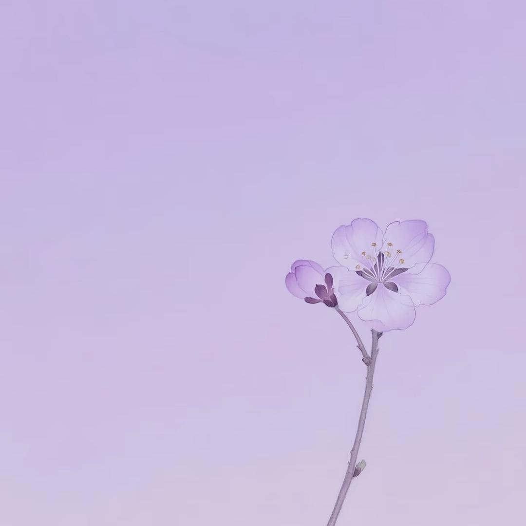 不发脾气只发财