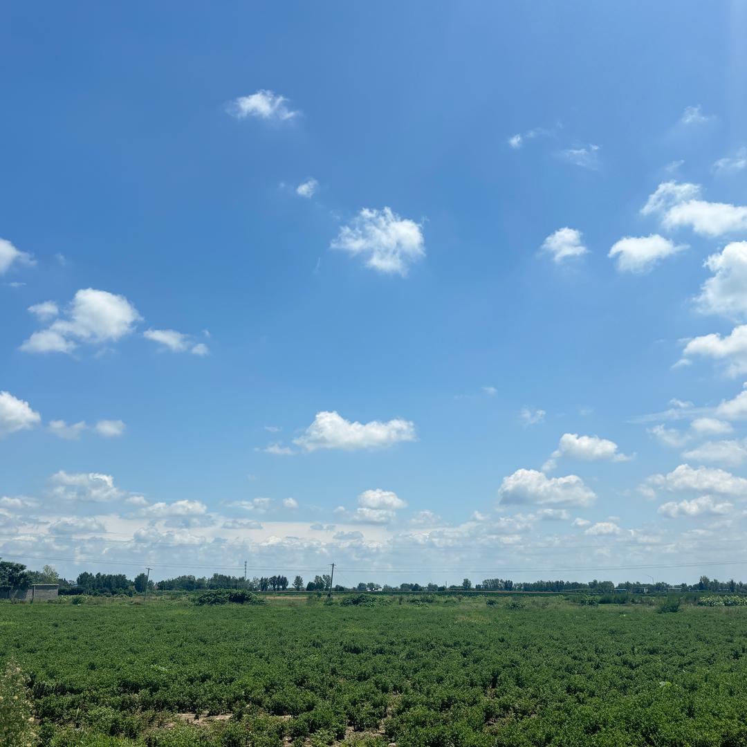 校场路二店李宁丹