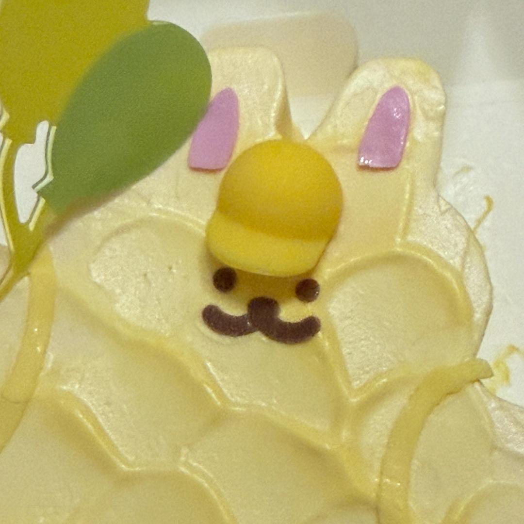 不择木