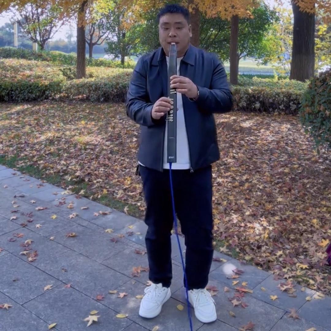 王磊电吹管