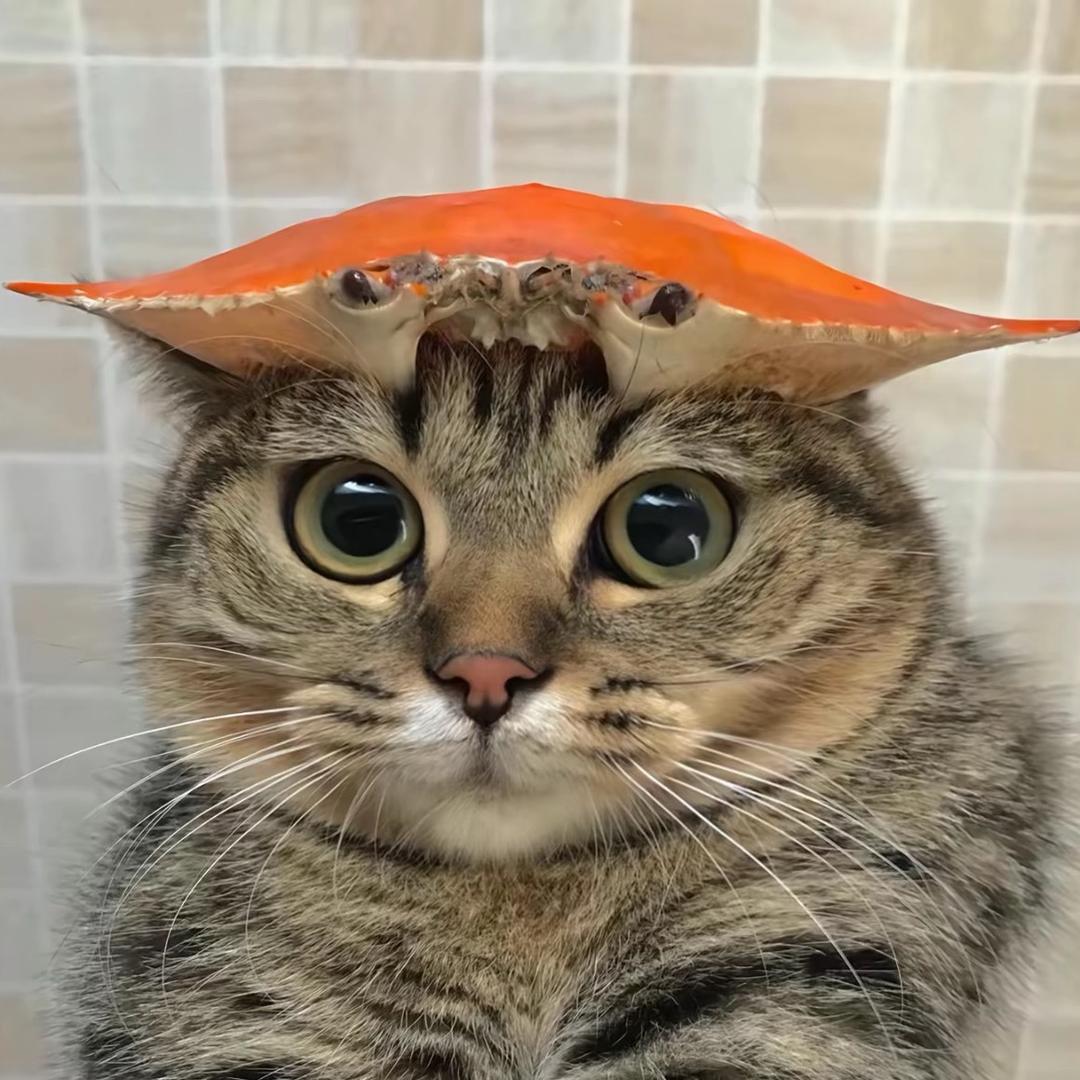 李别管^_^