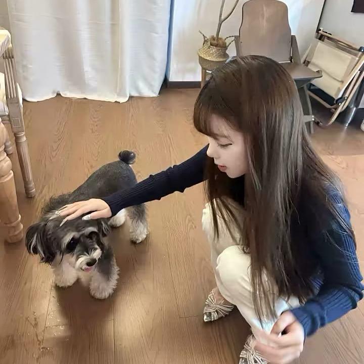 @养只破猫.