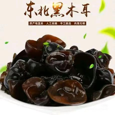 北雪家木耳（秋季头茬木耳段木耳）