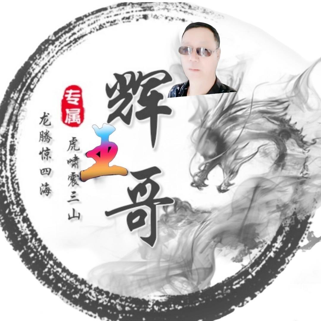 🐉辉哥🐉