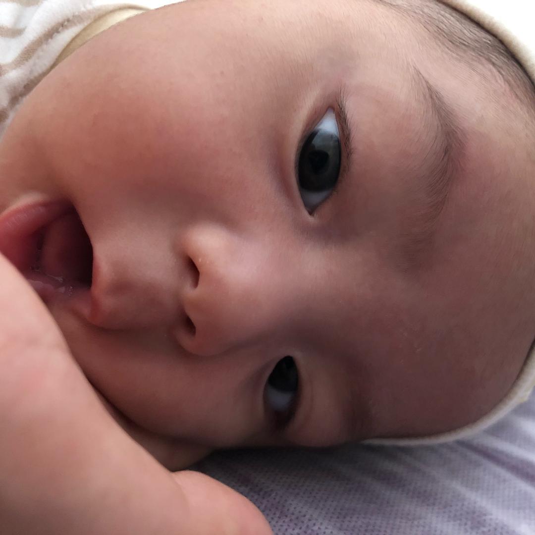 康杏中医调理