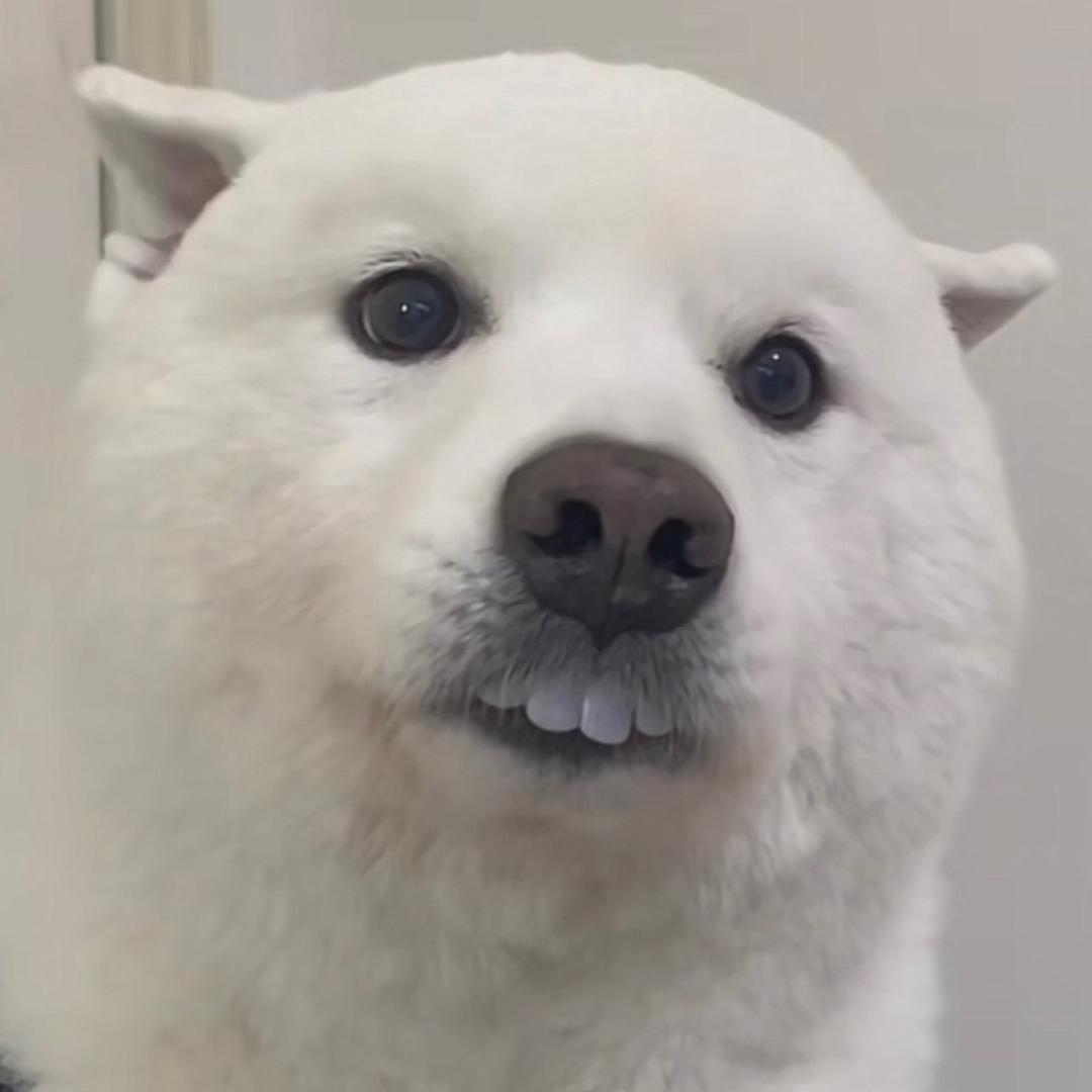 37度的身体也捂不热寒心(没事拍拍肚子)