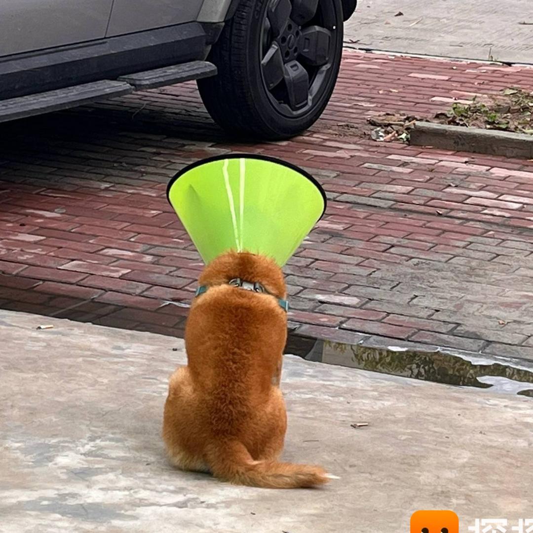 火火还没火