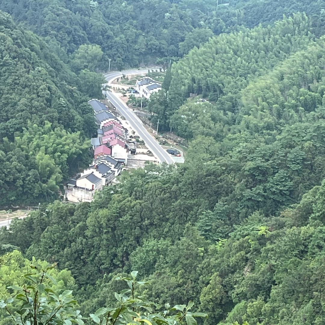 人生