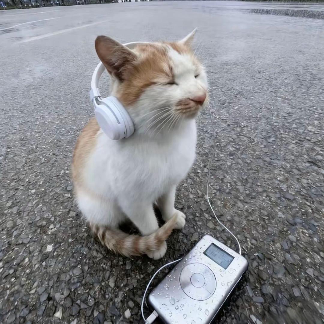 ㅤ撑伞喂牛