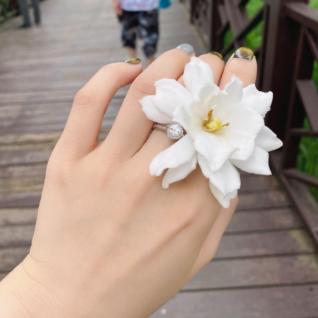 Lili.莉