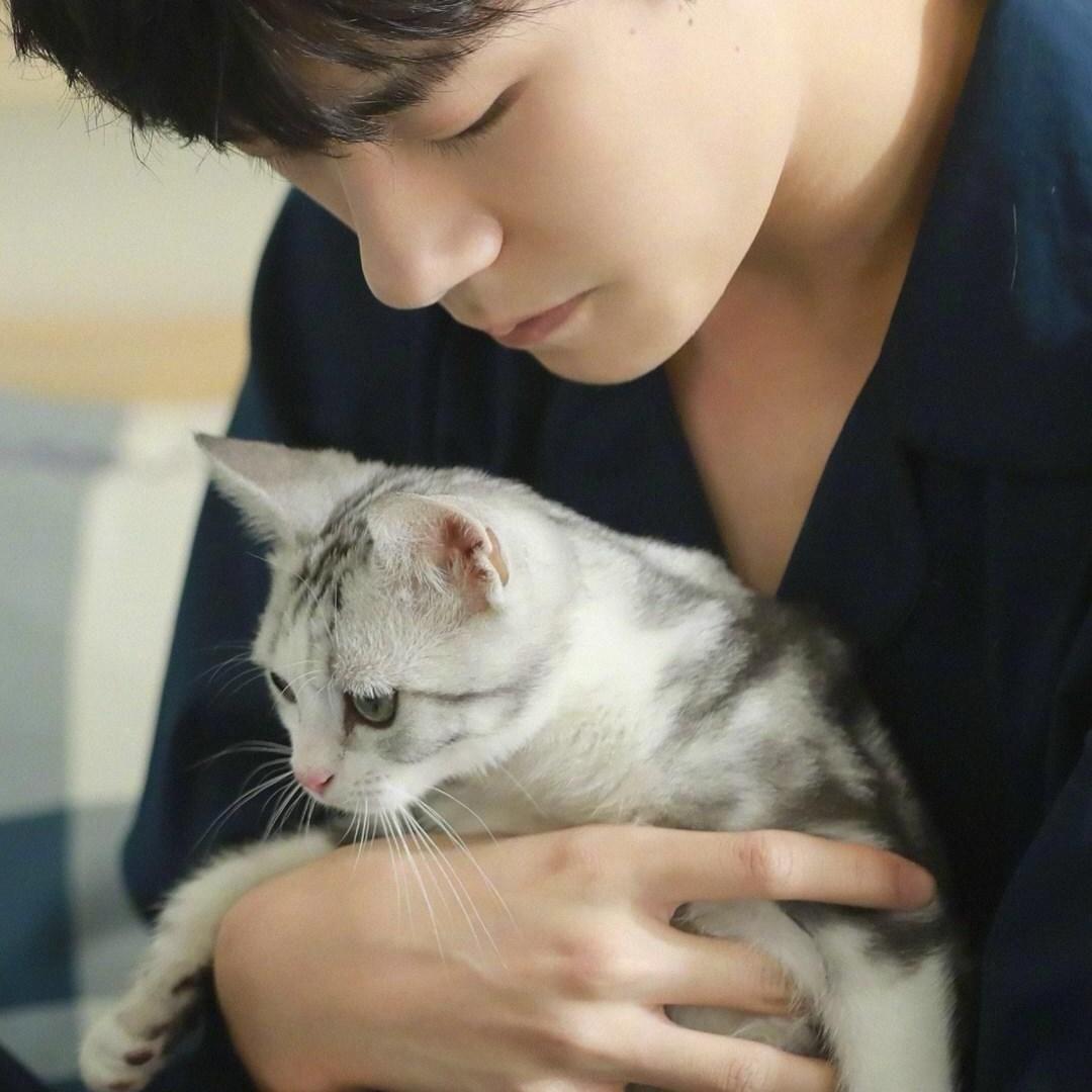 臂弯里的喵星人