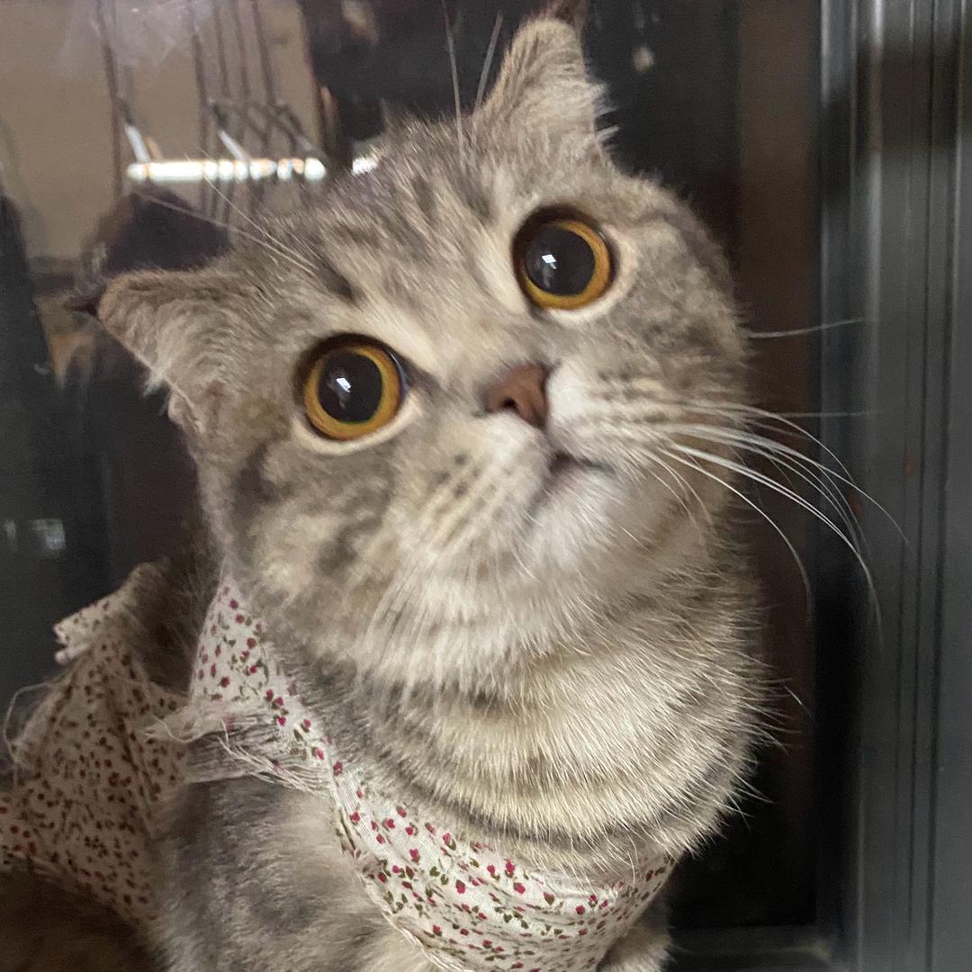 取悦自己饰品（称斤批发.零售）