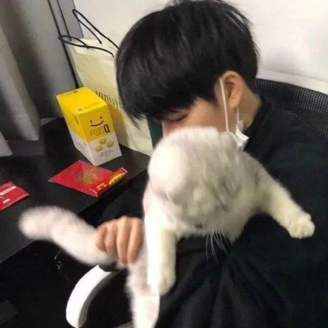 乐宇.